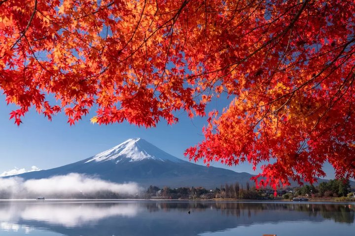 👑 아이 산 위 능 (아이란 산료) 이미지 11